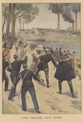 A bear hunt in Paris
